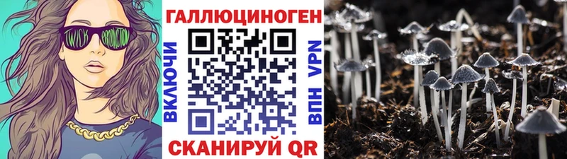 hydra сайт  Питкяранта  Галлюциногенные грибы Psilocybine cubensis 